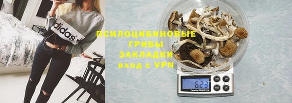 мяу мяу мука Переславль-Залесский