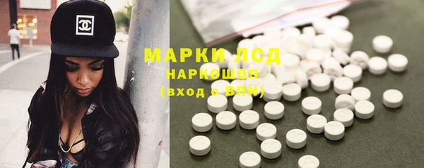 гидра Абаза