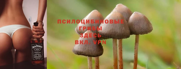 мяу мяу кристалл Алексин