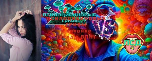 мяу мяу мука Переславль-Залесский
