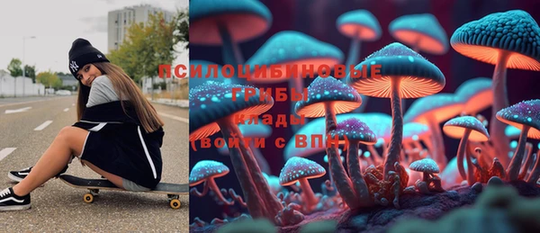 ешки Алзамай