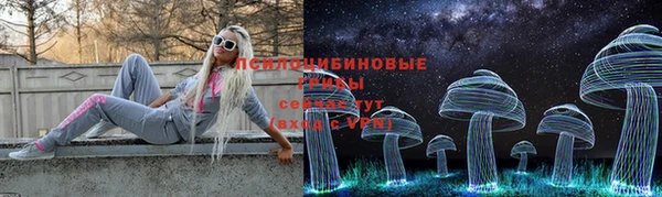 гидра Абаза