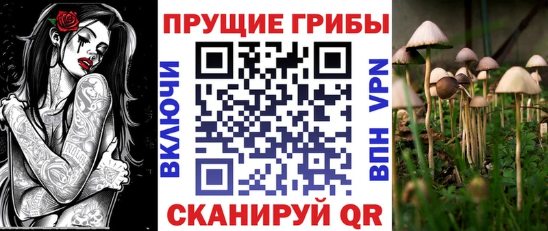 Псилоцибиновые грибы Psilocybine cubensis  Удомля 