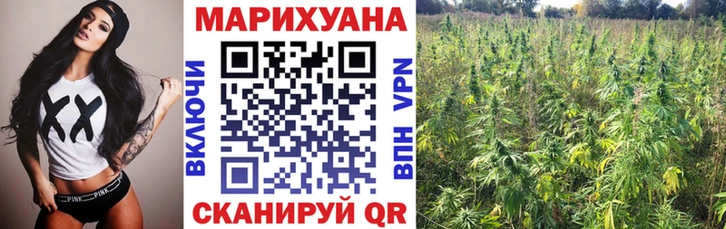 Марихуана сатива  Удомля 